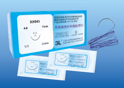 Absorbable surgical suture (with needle)